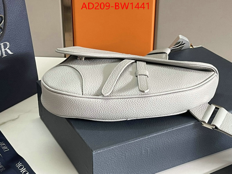 Dior Bags(TOP)-Saddle-,ID: BW1441,$: 209USD