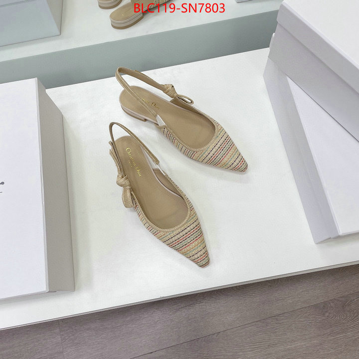 Women Shoes-Dior,replica designer , ID: SN7803,$: 119USD