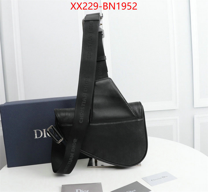 Dior Bags(TOP)-Saddle-,ID: BN1952,$: 229USD