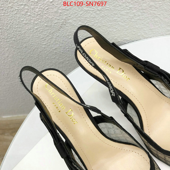 Women Shoes-Dior,top quality designer replica , ID: SN7697,$: 109USD