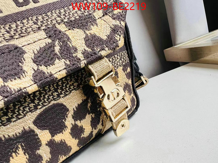 Dior Bags(TOP)-Other Style-,ID: BE2219,$: 109USD
