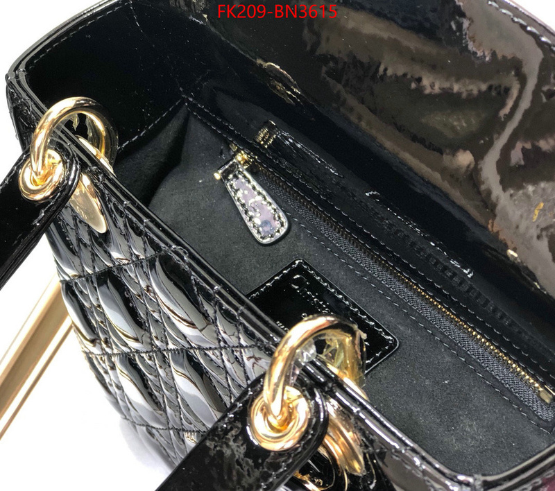 Dior Bags(TOP)-Lady-,ID: BN3615,$: 209USD