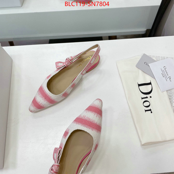 Women Shoes-Dior,wholesale designer shop , ID: SN7804,$: 119USD