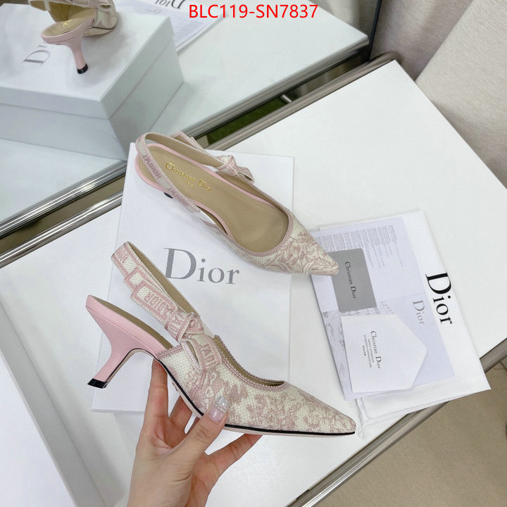 Women Shoes-Dior,replicas , ID: SN7837,$: 119USD