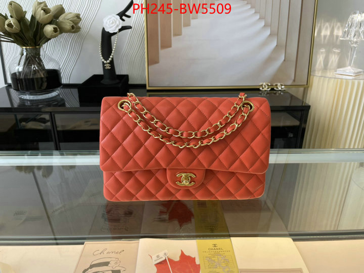 Chanel Bags(TOP)-Diagonal-,ID: BW5509,$: 245USD