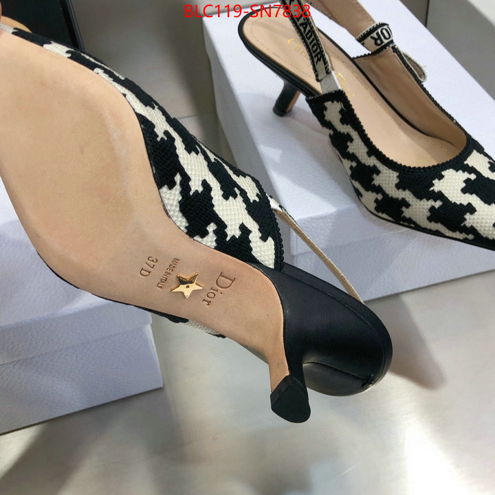 Women Shoes-Dior,can i buy replica , ID: SN7838,$: 119USD