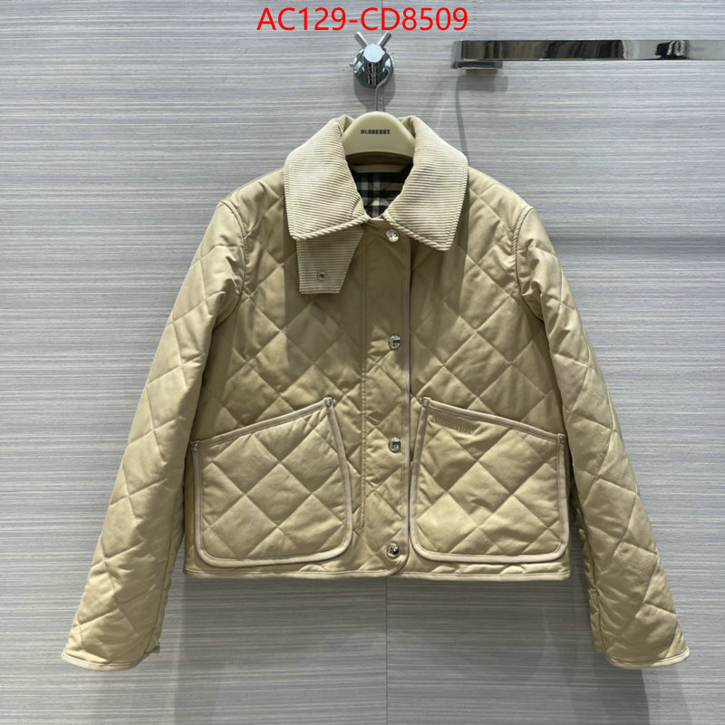 Down jacket Women-Burberry,high-end designer , ID: CD8509,$: 129USD