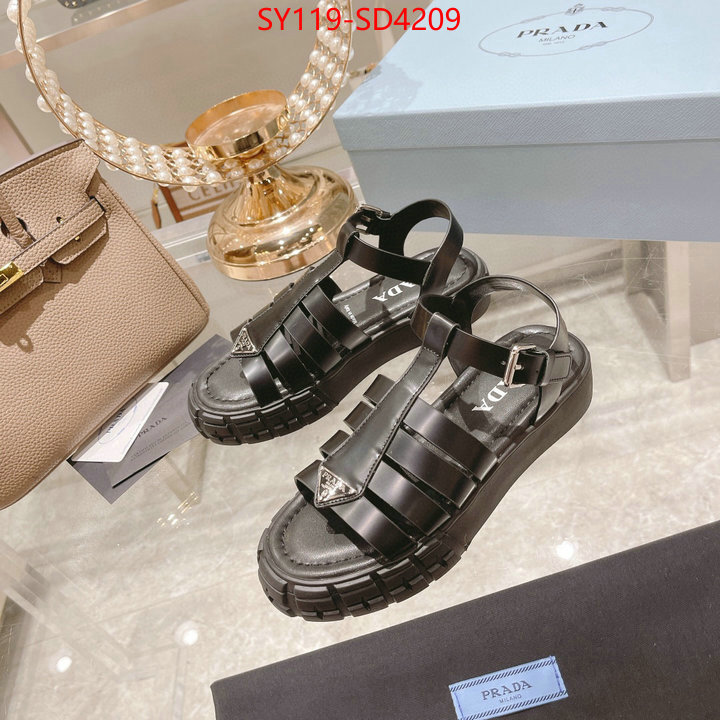 Women Shoes-Prada,fashion designer , ID: SD4209,$: 119USD