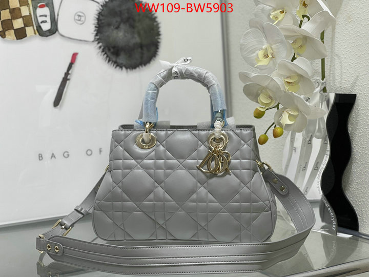 Dior Bags(4A)-Other Style-,ID: BW5903,$: 109USD