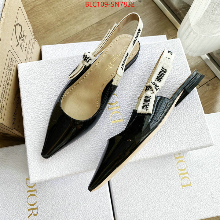 Women Shoes-Dior,2023 replica , ID: SN7832,$: 109USD