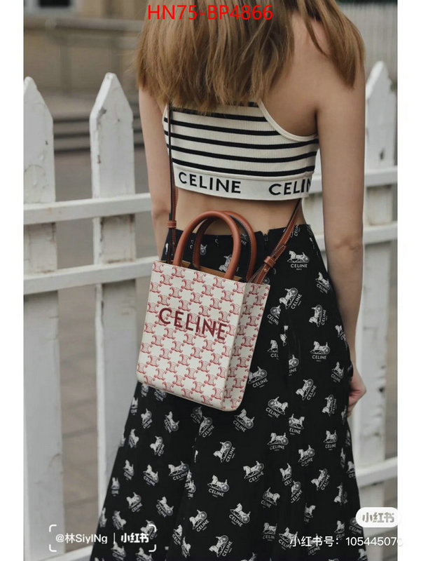 CELINE Bags(4A)-Cabas Series,at cheap price ,ID: BP4866,$: 75USD