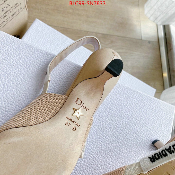 Women Shoes-Dior,replica 2023 perfect luxury , ID: SN7833,$: 99USD