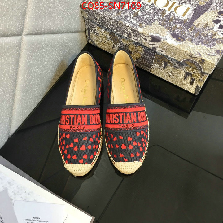 Women Shoes-Dior,online from china , ID: SN7109,$: 85USD