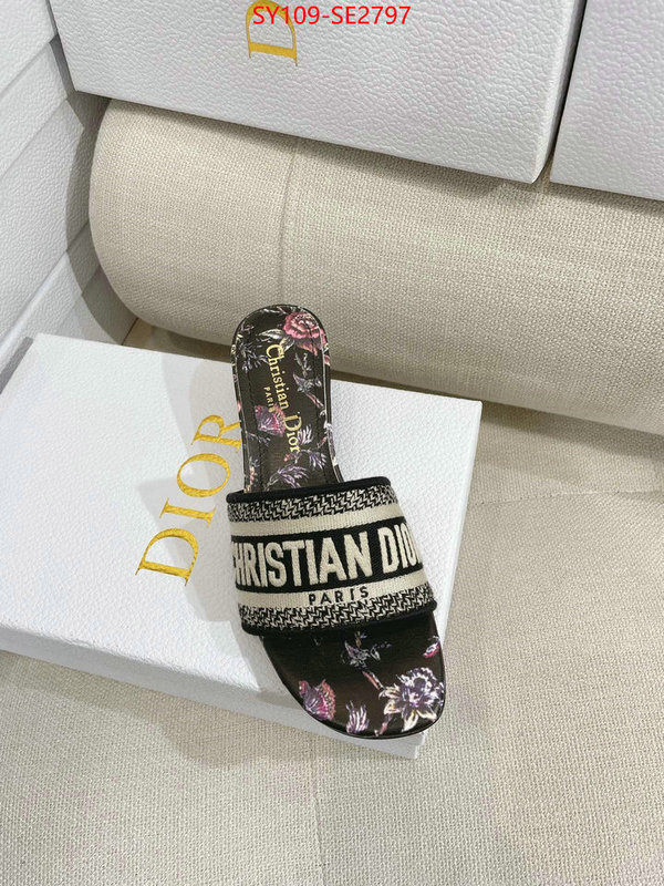 Women Shoes-Dior,shop the best high authentic quality replica , ID: SE2797,$: 109USD