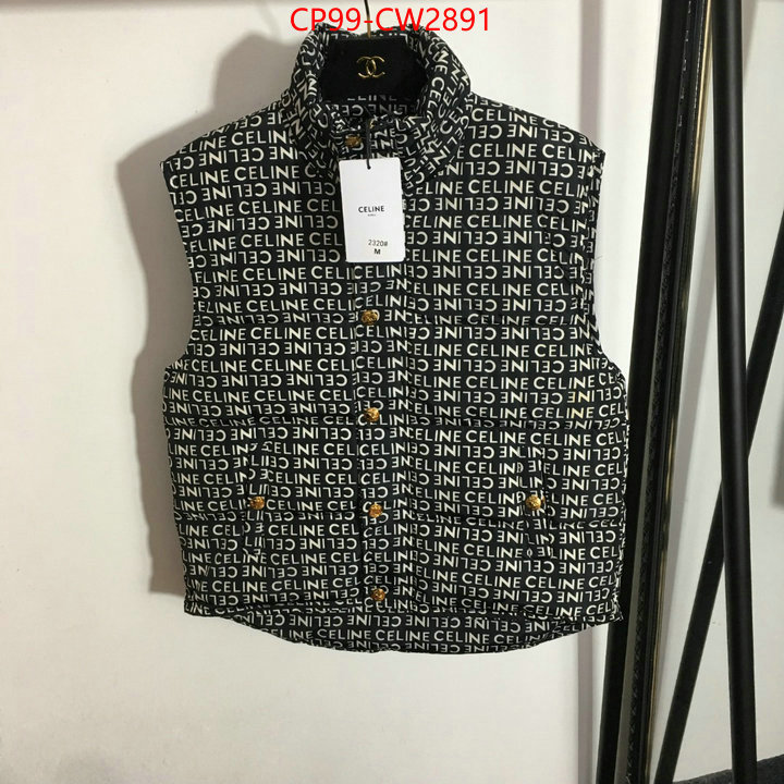 Down jacket Women-Celine,what best designer replicas , ID: CW2891,$: 99USD