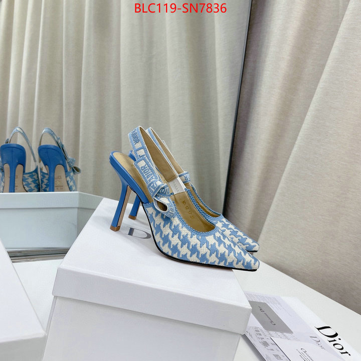 Women Shoes-Dior,what's the best to buy replica , ID: SN7836,$: 119USD