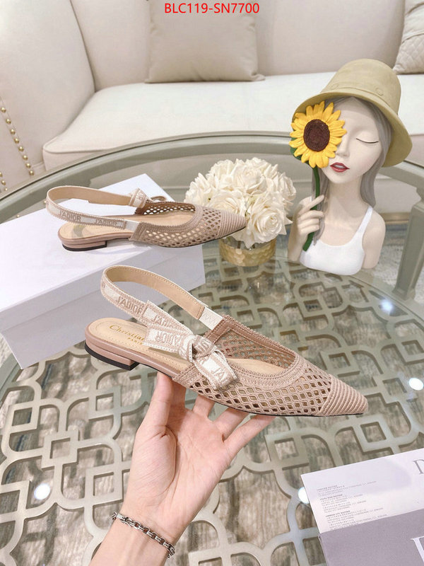 Women Shoes-Dior,sell online luxury designer , ID: SN7700,$: 119USD