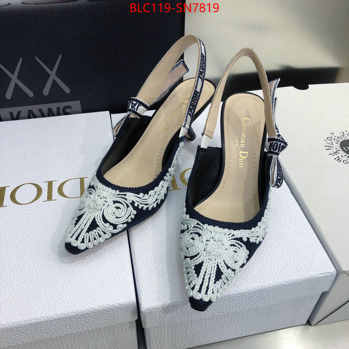 Women Shoes-Dior,replica aaaaa designer , ID: SN7819,$: 119USD