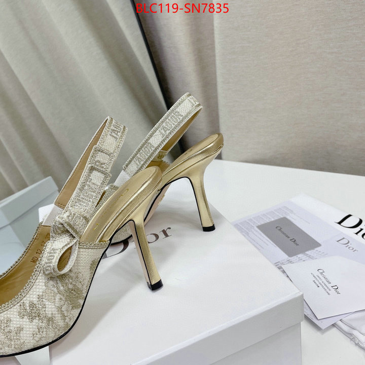 Women Shoes-Dior,styles & where to buy , ID: SN7835,$: 119USD