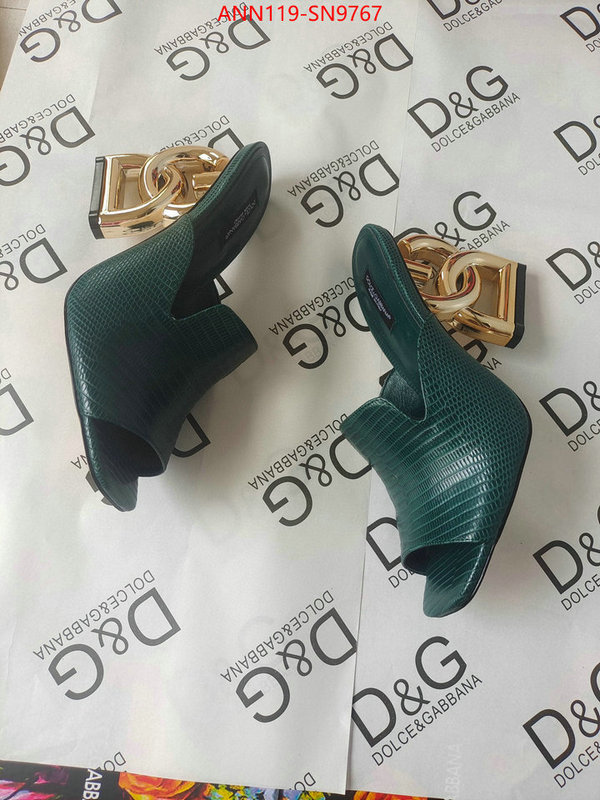 Women Shoes-DG,what's the best to buy replica , ID: SN9767,$: 119USD