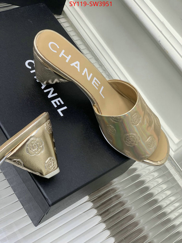 Women Shoes-Chanel,best site for replica , ID: SW3951,$: 119USD