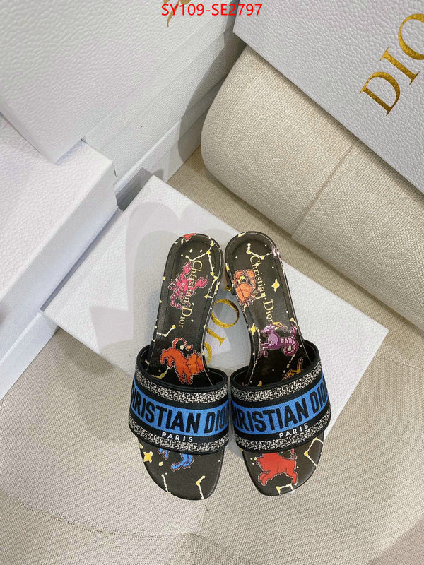 Women Shoes-Dior,shop the best high authentic quality replica , ID: SE2797,$: 109USD