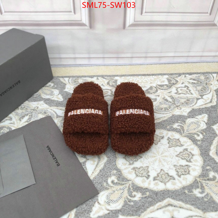 Women Shoes-Balenciaga,fake high quality , ID: SW103,$: 75USD