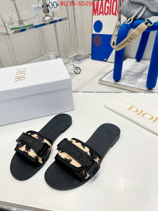 Women Shoes-Dior,high end designer , ID: SD2563,$: 85USD