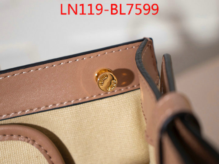 Fendi Bags(4A)-Handbag-,7 star collection ,ID: BL7599,$: 119USD