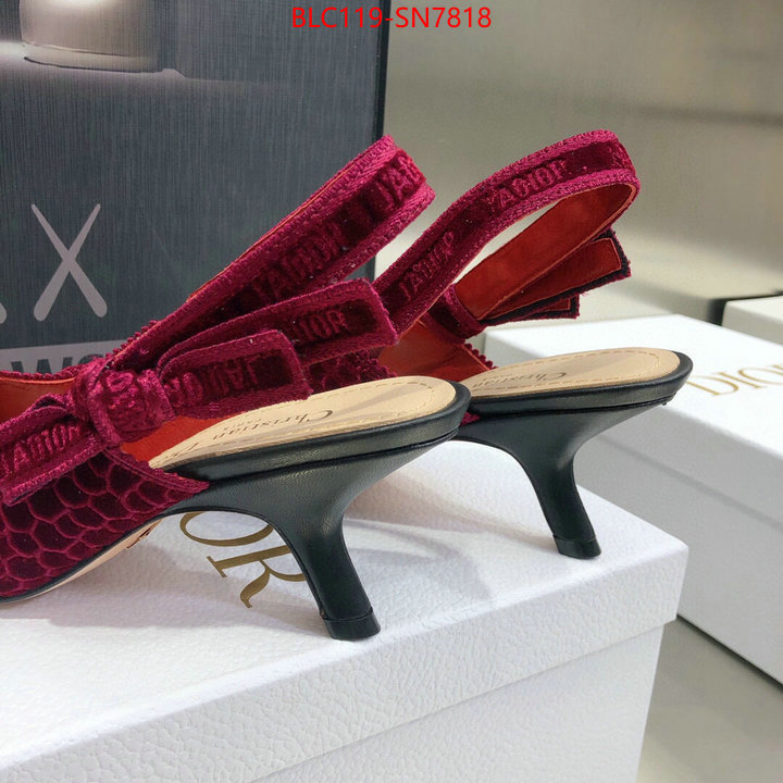 Women Shoes-Dior,aaaaa+ quality replica , ID: SN7818,$: 119USD