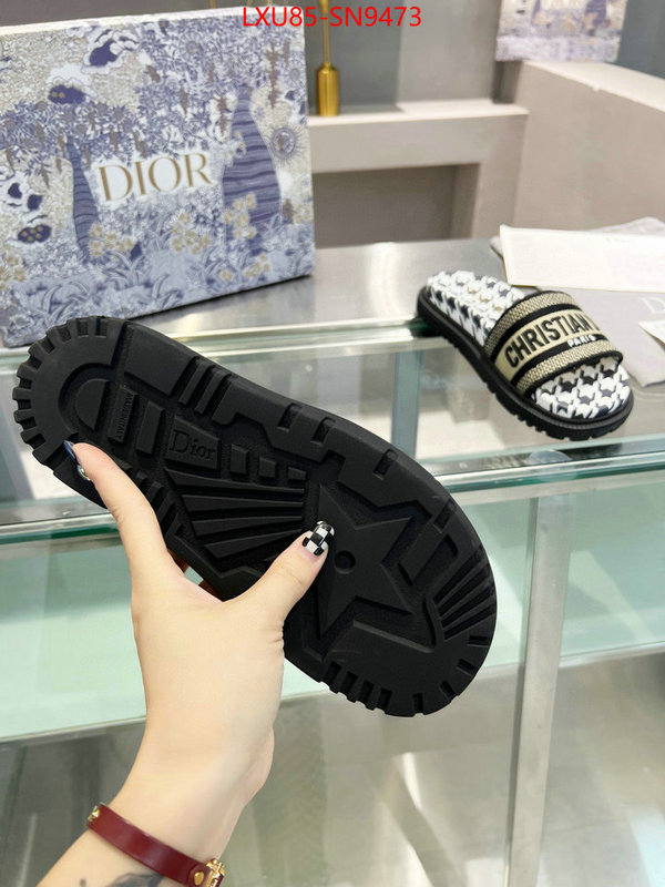 Women Shoes-Dior,sellers online , ID: SN9473,$: 85USD