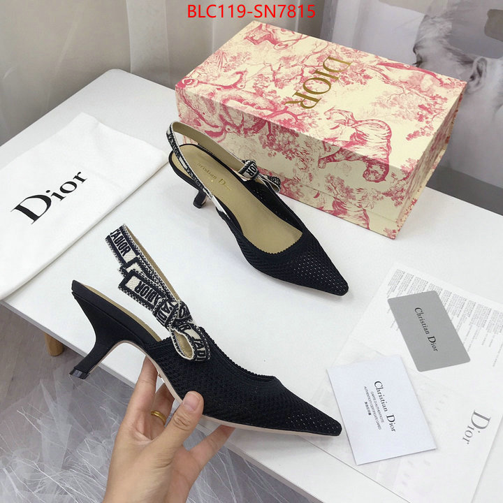 Women Shoes-Dior,shop cheap high quality 1:1 replica , ID: SN7815,$: 119USD