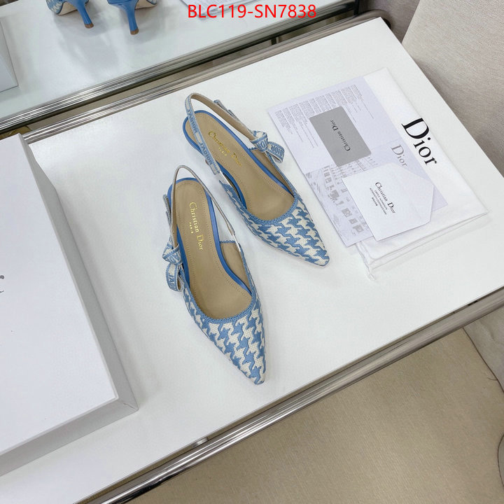 Women Shoes-Dior,can i buy replica , ID: SN7838,$: 119USD