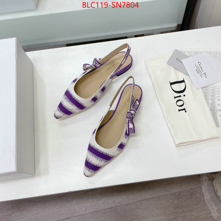 Women Shoes-Dior,wholesale designer shop , ID: SN7804,$: 119USD