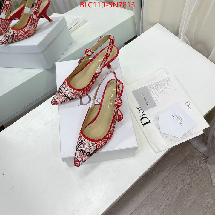 Women Shoes-Dior,designer wholesale replica , ID: SN7813,$: 119USD