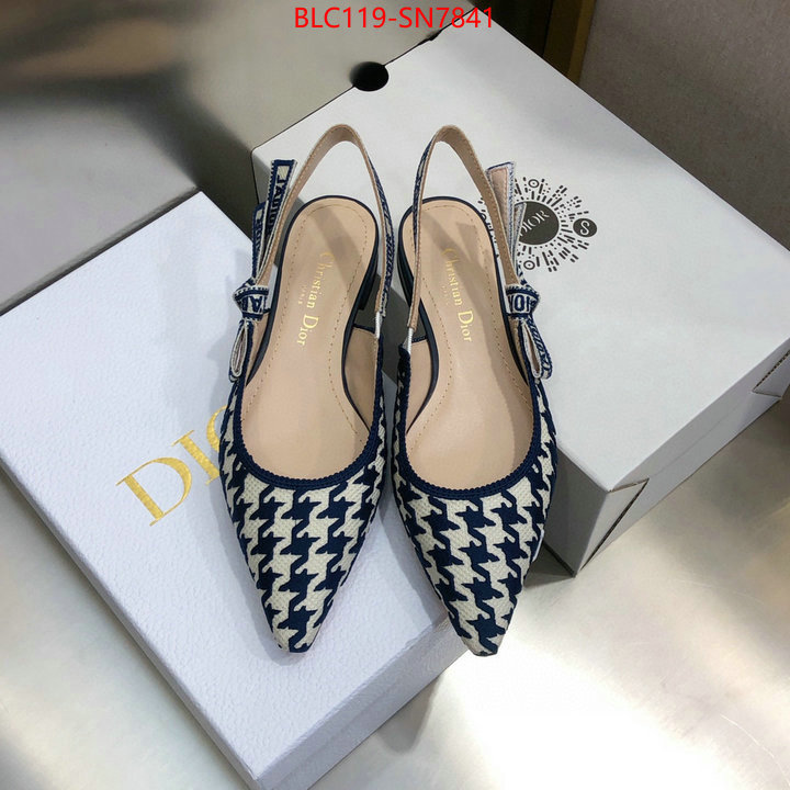 Women Shoes-Dior,outlet 1:1 replica , ID: SN7841,$: 119USD