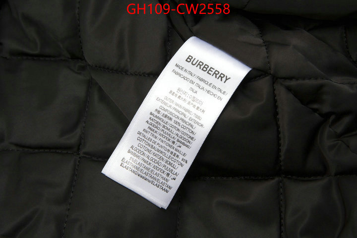 Clothing-Burberry,what is a counter quality , ID: CW2558,$: 109USD