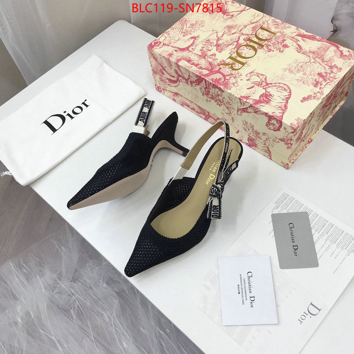 Women Shoes-Dior,shop cheap high quality 1:1 replica , ID: SN7815,$: 119USD