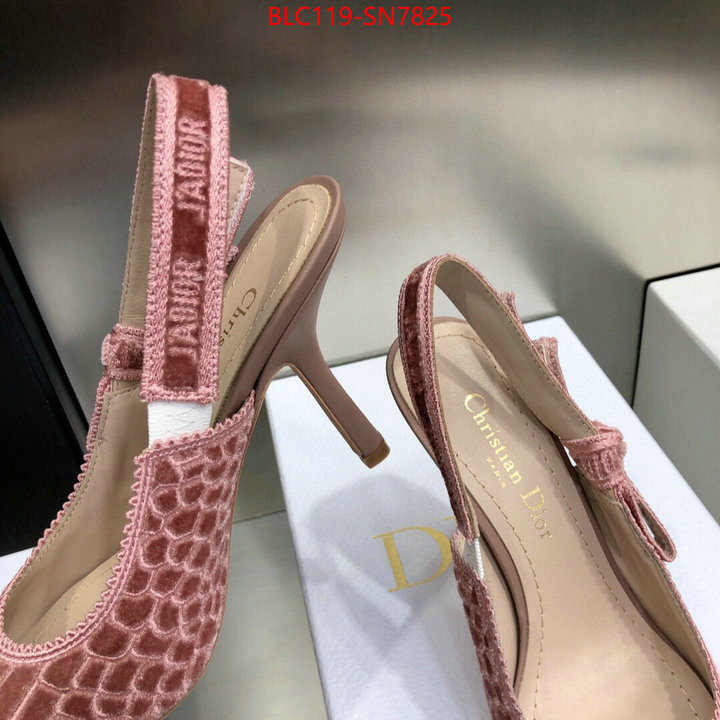 Women Shoes-Dior,buy 1:1 , ID: SN7825,$: 119USD