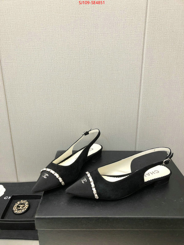 Women Shoes-Chanel,can you buy knockoff , ID: SE4851,$: 109USD