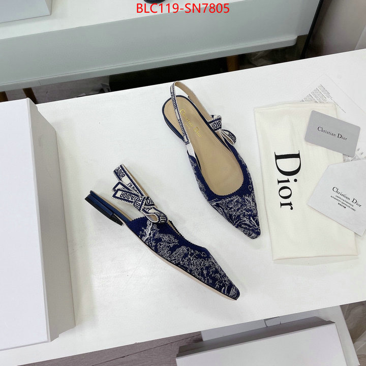 Women Shoes-Dior,the top ultimate knockoff , ID: SN7805,$: 119USD