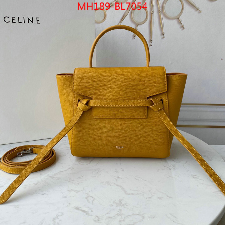 CELINE Bags(TOP)-Belt Bag,wholesale ,ID: BL7054,$: 189USD