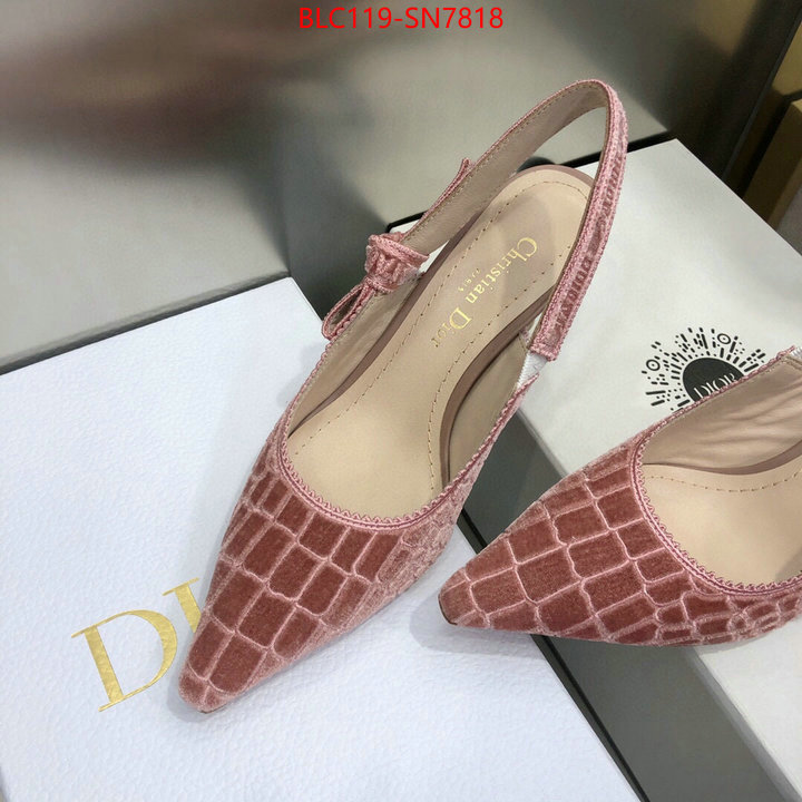 Women Shoes-Dior,aaaaa+ quality replica , ID: SN7818,$: 119USD