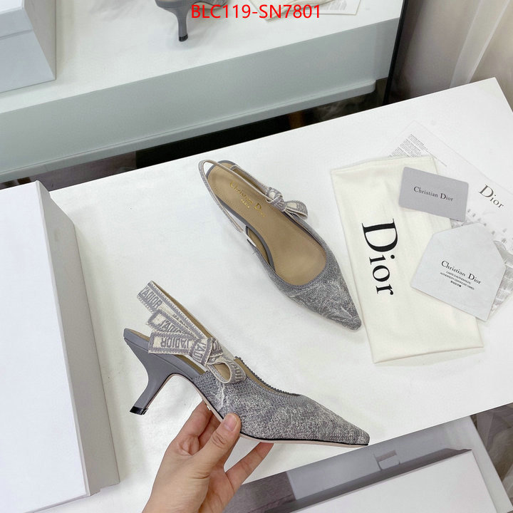 Women Shoes-Dior,what 1:1 replica , ID: SN7801,$: 119USD