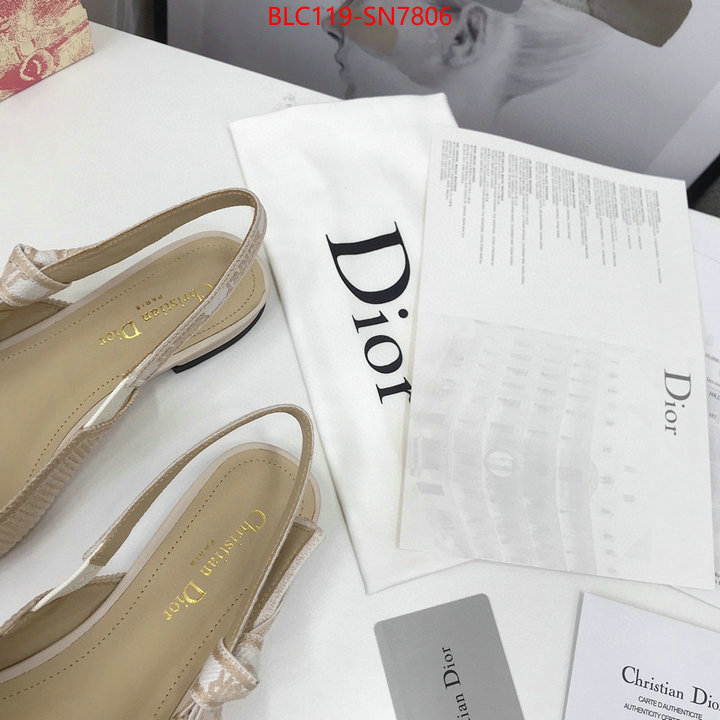 Women Shoes-Dior,how to find replica shop , ID: SN7806,$: 119USD