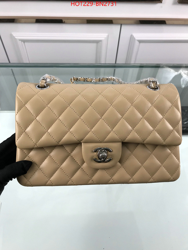 Chanel Bags(TOP)-Diagonal-,ID: BN2731,$: 229USD