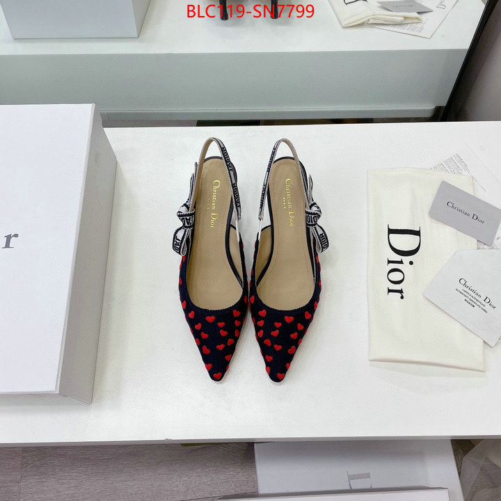 Women Shoes-Dior,aaaaa class replica , ID: SN7799,$: 119USD