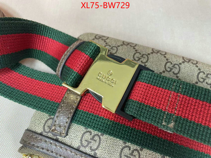 Gucci Bags(4A)-Ophidia-G,the best designer ,ID: BW729,$: 75USD