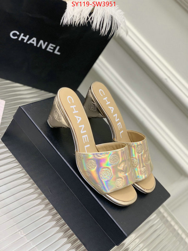 Women Shoes-Chanel,best site for replica , ID: SW3951,$: 119USD