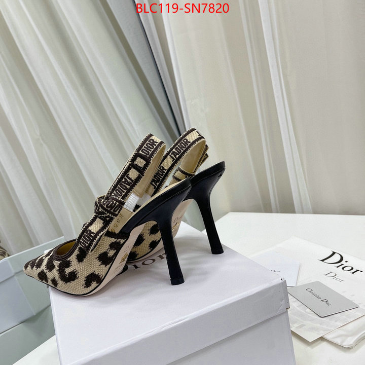 Women Shoes-Dior,1:1 replica , ID: SN7820,$: 119USD